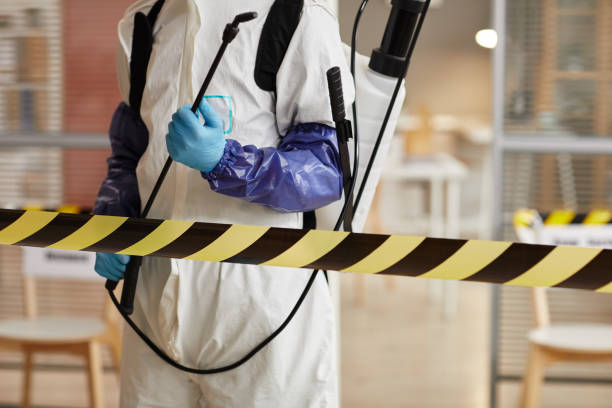 Professional Sewage Cleanup technician working in Aurora, IN